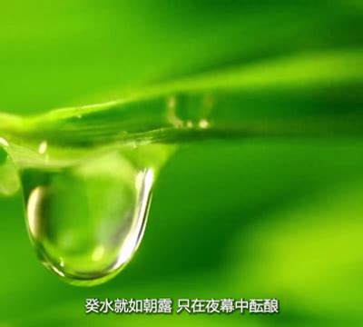 癸水男長相|日干癸水特性